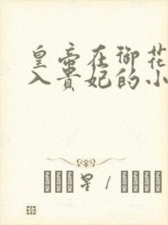 皇帝在御花园进入贵妃的小说