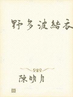 野多波结衣