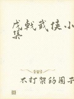 戊戟武侠小说全集