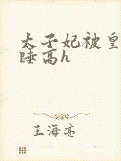 太子妃被皇上强睡高h