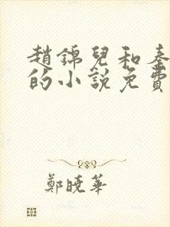 赵锦儿和秦慕修的小说免费阅读全文
