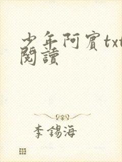 少年阿宾txt阅读