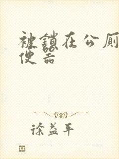 被锁在公厕当坐便器