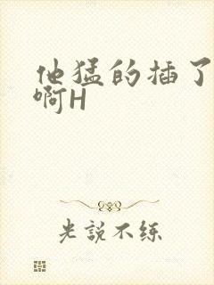 他猛的插了进去啊H