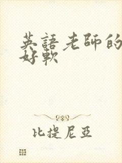 英语老师的兔子好软