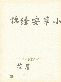 锦绣安宁小说