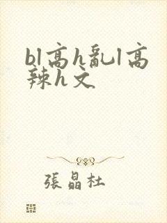 bl高h乱l高辣h文