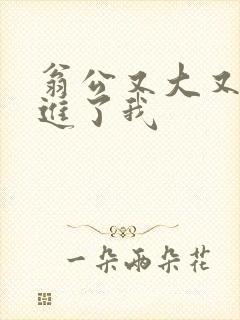 翁公又大又粗挺进了我