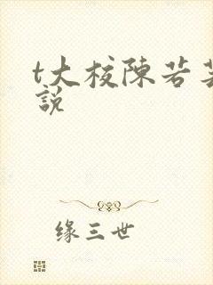 t大校陈若芸小说