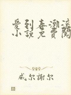 爱到春潮滚滚来小说免费阅读