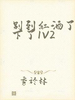 别到红酒了装不下了1V2