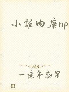 小说肉糜np
