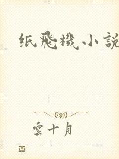 纸飞机小说