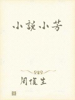 小说小芳