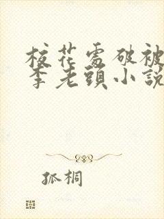 校花处破被灌满李老头小说