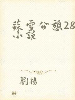 苏雪公憩28篇小说
