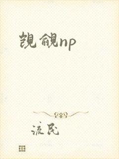 觊觎np