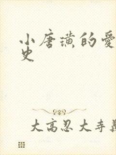 小唐璜的爱情历史