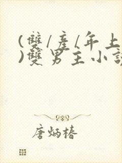 (双/产/年上)双男主小说