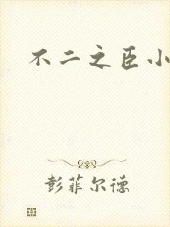 不二之臣小说