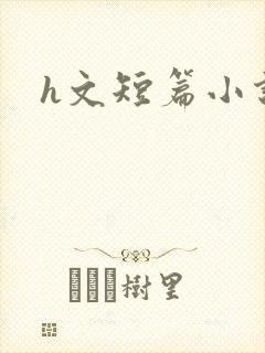 h文短篇小说