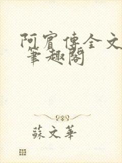 阿宾传全文阅读 笔趣阁