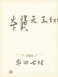 火爆天王txt下载