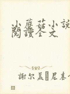 小蘑菇小说免费阅读全文