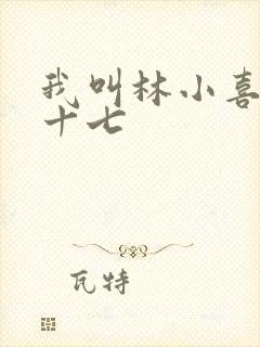 我叫林小喜今年十七