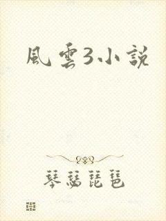 风云3小说