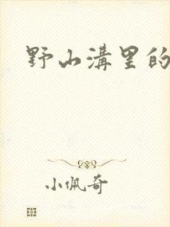 野山沟里的村庄