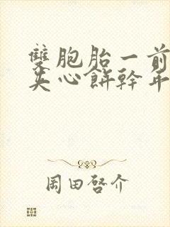 双胞胎一前一后夹心饼干年下