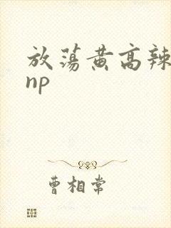 放荡黄高辣h文np