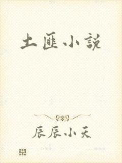 土匪小说