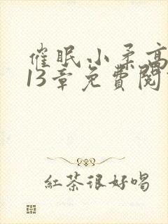 催眠小柔高达第13章免费阅读