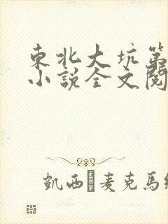 东北大坑第二部小说全文阅读