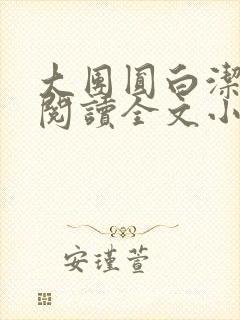 大团圆白洁免费阅读全文小说