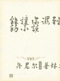 能让你湿到不行的小说