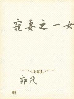 宠妻之一女二夫