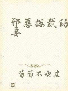 邪恶总裁的娇宠妻