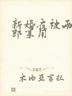 新婚夜被两个伴郎享用