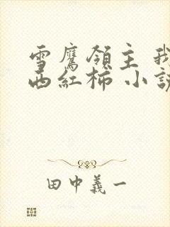 雪鹰领主 我吃西红柿 小说