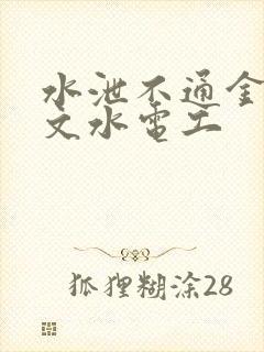 水泄不通金银原文水电工