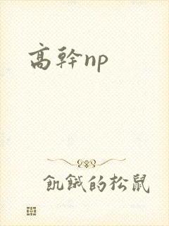 高干np