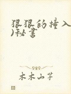 狠狠的撞入(h)秘书