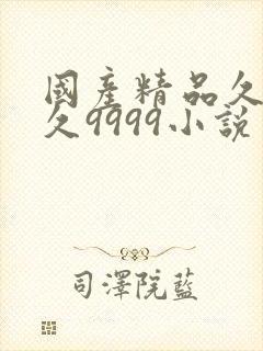 国产精品久久久久9999小说