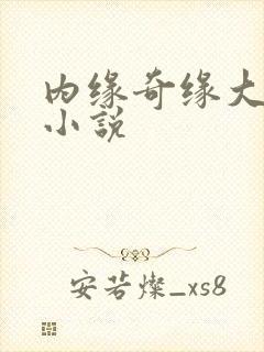 内缘奇缘大团圆小说