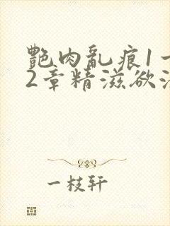 艳肉乱痕1一12章精滋欲液