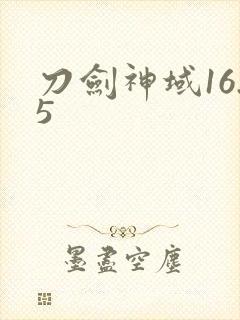 刀剑神域16.5