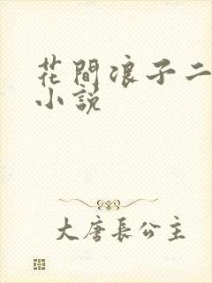 花间浪子二十部小说